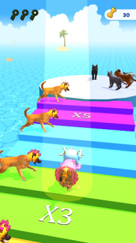 Download Cats run 3D Simulators for Android screenshot 7