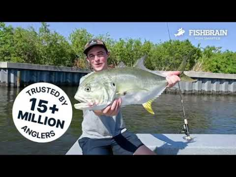 Download Fishbrain - Fishing App Sport for Android screenshot 8