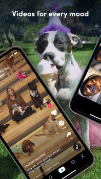 Download TikTok Social for Android screenshot 4