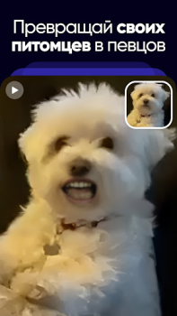 Download Revive: Animation & AI Photos Entertainment for Android screenshot 5