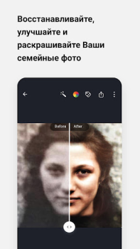 Download MyHeritage: Family Tree & DNA Books and Reference for Android screenshot 6