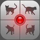 Download  Human-to-Cat - Play with your