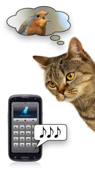 Download Human-to-Cat - Play with your Entertainment for Android screenshot 3
