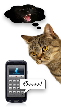 Download Human-to-Cat - Play with your Entertainment for Android screenshot 7