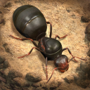 Download  The Ants: Underground Kingdom