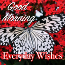 Download  Good Morning Everyday Greeting