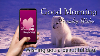 Download Good Morning Everyday Greeting Entertainment for Android screenshot 4