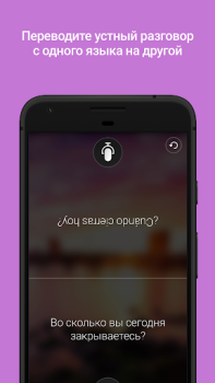 Download Microsoft Translator Work for Android screenshot 3