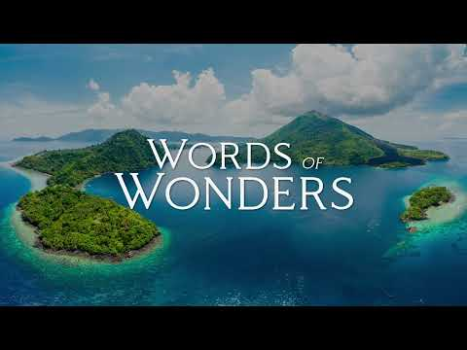 Download Words of Wonders: Crossword Word games for Android
