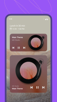 Download MD Vinyl - Music Player Widget Music and audio for Android screenshot 5