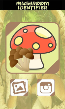 Download Automatic Mushroom Identifier Entertainment for Android screenshot 2