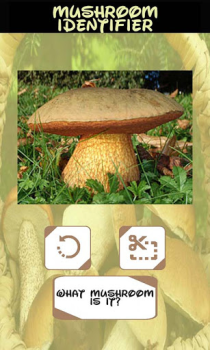 Download Automatic Mushroom Identifier Entertainment for Android screenshot 3