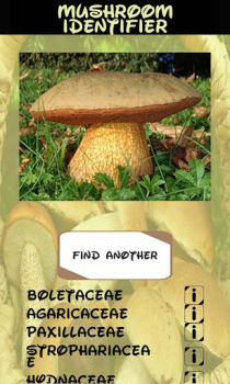 Download Automatic Mushroom Identifier Entertainment for Android screenshot 4