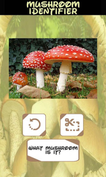 Download Automatic Mushroom Identifier Entertainment for Android screenshot 6