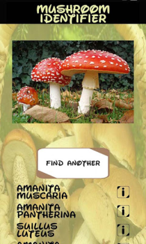 Download Automatic Mushroom Identifier Entertainment for Android screenshot 7