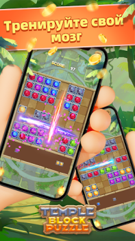 Download Temple Block Puzzle Casual for Android screenshot 5