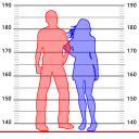 Download  Hikaku sitatter app for height