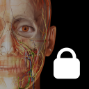 Download  Visible Body Suite