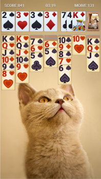 Download Solitaire Classic Board games for Android screenshot 6
