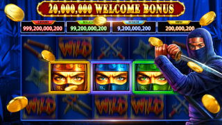 Download Mega Winner Slots Vegas Casino Casino for Android screenshot 6