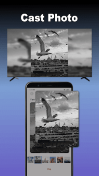 Download Cast to TV - Screen Mirroring Video Players & Editors for Android screenshot 5