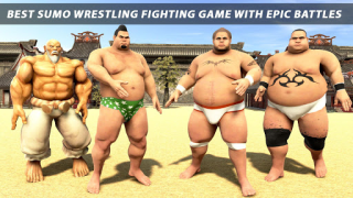 Download Sumo Wrestling 2020 Live Fight Weather for Android screenshot 3