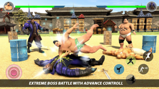 Download Sumo Wrestling 2020 Live Fight Weather for Android screenshot 5