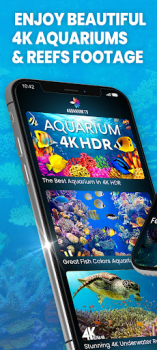 Download Aquariums TV Photo for Android screenshot 2