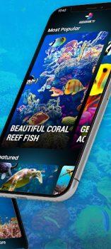 Download Aquariums TV Photo for Android screenshot 3