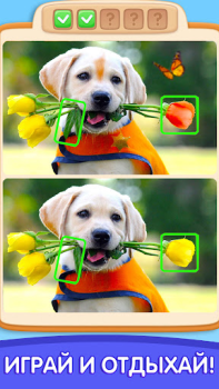 Download Can You Spot It: Differences Puzzles for Android screenshot 3