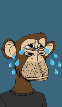 Download Monkey NFT Personalization for Android screenshot 3