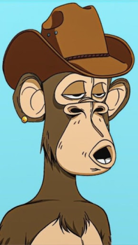 Download Monkey NFT Personalization for Android screenshot 6
