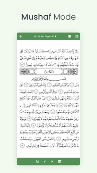 Download Al Quran (Tafsir & by Word) Books and Reference for Android screenshot 3