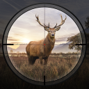 Download  Hunting Sniper