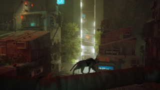 Download Stray Cat Simulator Mobile Simulators for Android screenshot 2