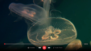 Download IBO Player Video Players & Editors for Android screenshot 3