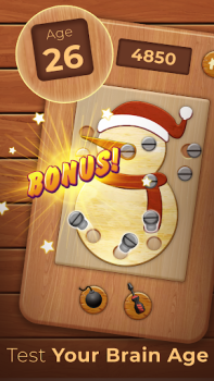 Download Nuts Bolts Wood Puzzle Games Puzzles for Android screenshot 3