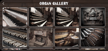 Download Organ Instrument Music and audio for Android screenshot 7
