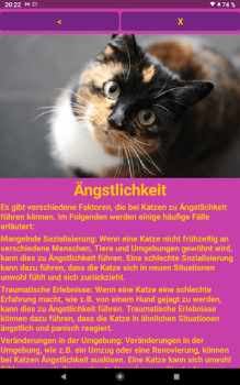 Download Katzen Clicker Training Light Housing and home for Android screenshot 7