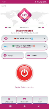 Download Lily UDP Plus - High Speed Tools for Android screenshot 6
