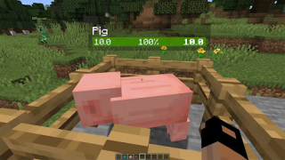 Download Neat Mod Minecraft Entertainment for Android screenshot 6