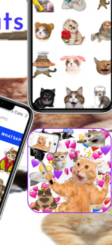 Download WAStickerApps Stickers Cats Contact for Android screenshot 4