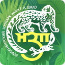 Download  Nsk Zoo