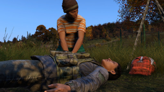 Download Dayz Pro Mobile Role games for Android screenshot 5