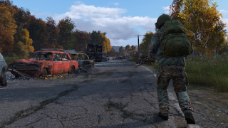 Download Dayz Pro Mobile Role games for Android screenshot 6