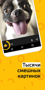 Download АйДаПрикол Entertainment for Android screenshot 2