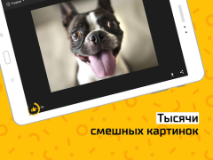 Download АйДаПрикол Entertainment for Android screenshot 6