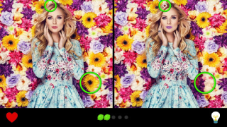 Download Find the Difference 1000+ Puzzles for Android screenshot 6