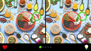 Download Find the Difference 1000+ Puzzles for Android screenshot 7