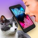 Download  Cat Translator Pet Talk Meow